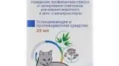Uklidňující pro kočky: jaké léky a kdy lze použít